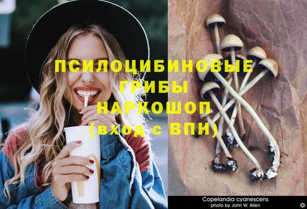 кокс Армянск