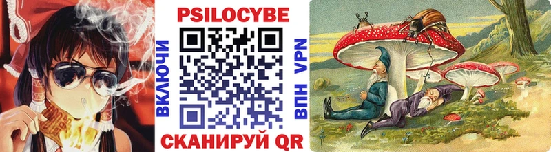 Псилоцибиновые грибы Psilocybine cubensis  сколько стоит  дарк нет официальный сайт  Чаплыгин 